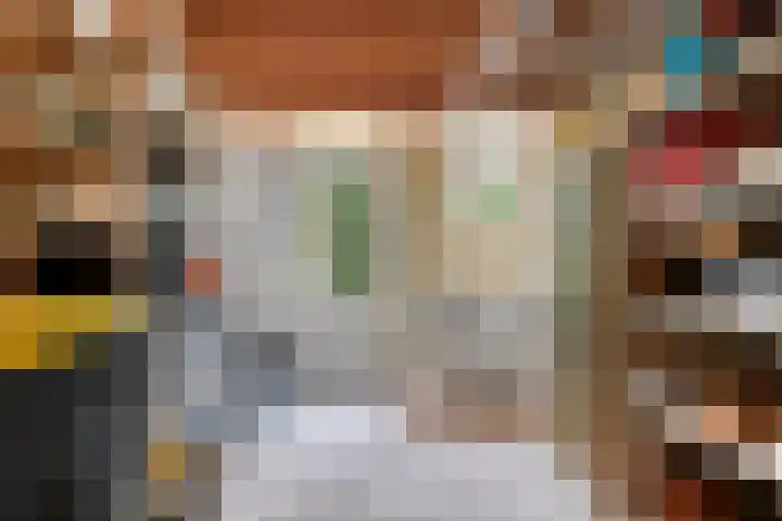 Hoeksedijk 9 Maasdam thumbnail 19