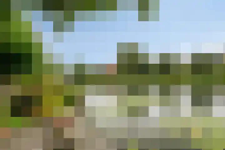 Hoeksedijk 9 Maasdam foto 2