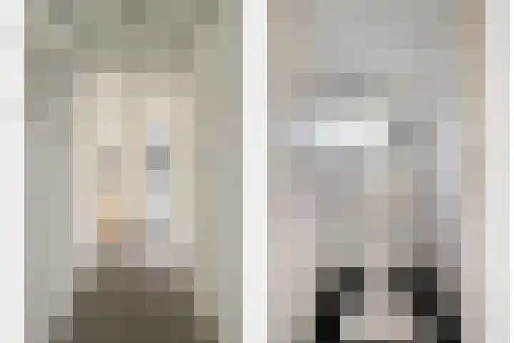 Hoeksedijk 9 Maasdam thumbnail 22