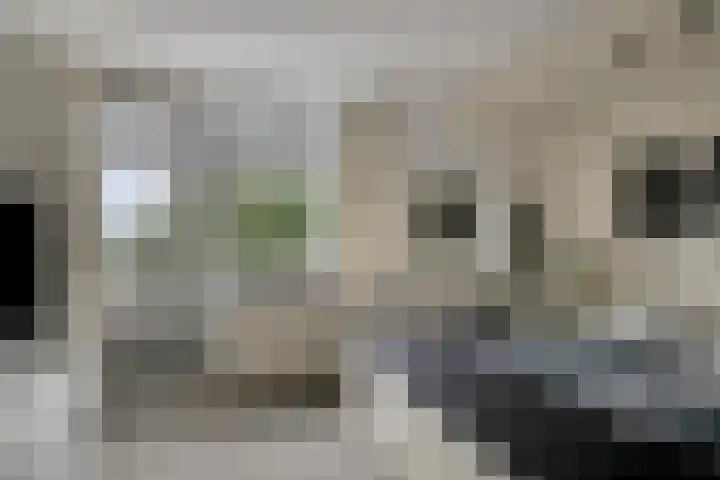 Hoeksedijk 9 Maasdam thumbnail 23