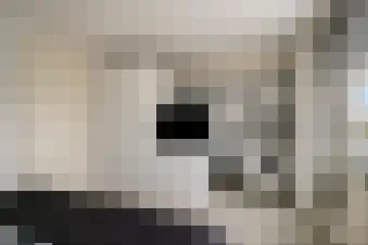 Hoeksedijk 9 Maasdam thumbnail 24