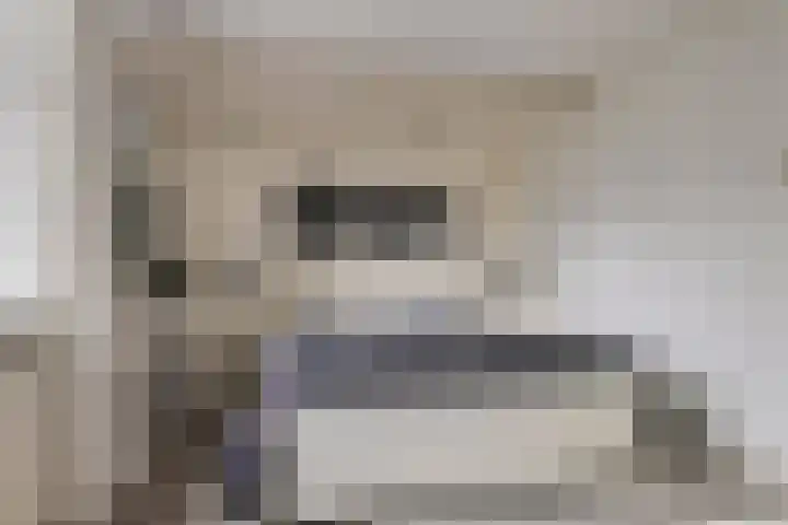 Hoeksedijk 9 Maasdam thumbnail 25