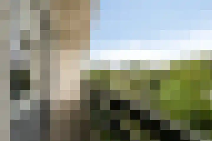 Hoeksedijk 9 Maasdam thumbnail 26