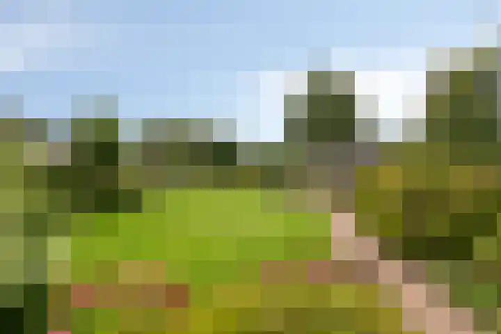 Hoeksedijk 9 Maasdam foto 3