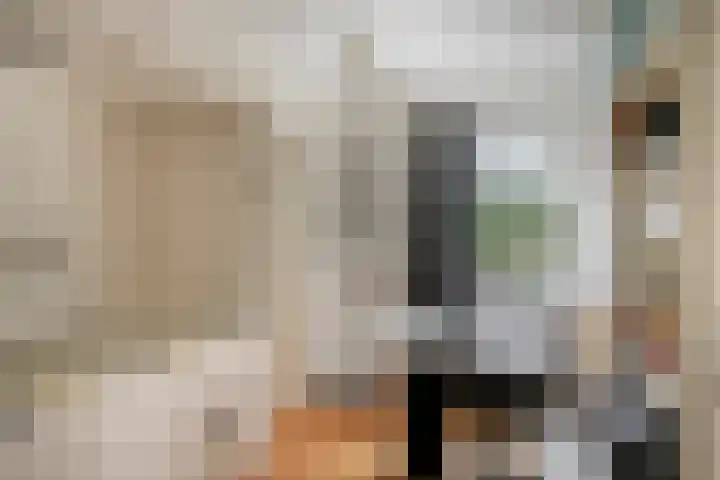 Hoeksedijk 9 Maasdam thumbnail 30