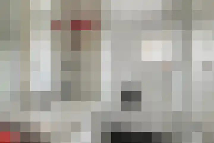 Hoeksedijk 9 Maasdam thumbnail 32
