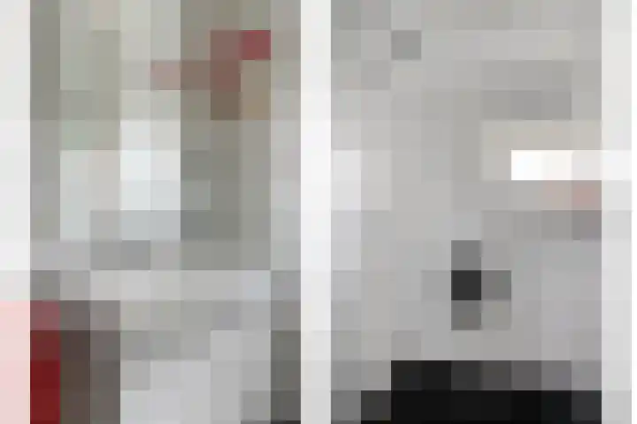 Hoeksedijk 9 Maasdam thumbnail 33