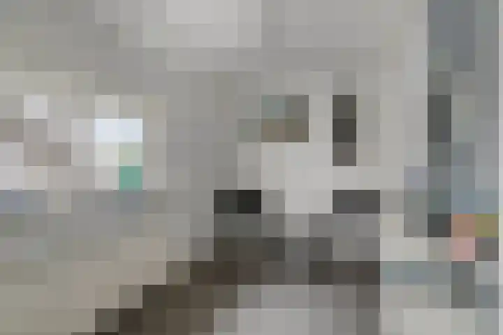 Hoeksedijk 9 Maasdam thumbnail 34
