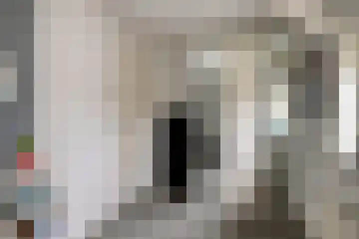 Hoeksedijk 9 Maasdam thumbnail 35