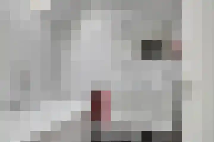 Hoeksedijk 9 Maasdam thumbnail 36