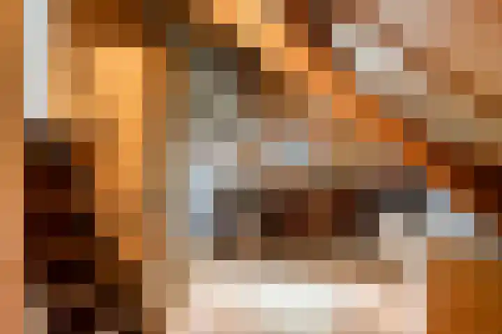 Hoeksedijk 9 Maasdam thumbnail 38