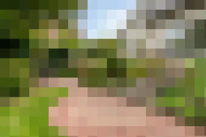 Hoeksedijk 9 Maasdam thumbnail 39