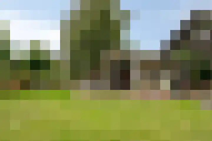 Hoeksedijk 9 Maasdam thumbnail 4
