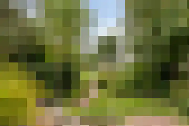 Hoeksedijk 9 Maasdam thumbnail 40