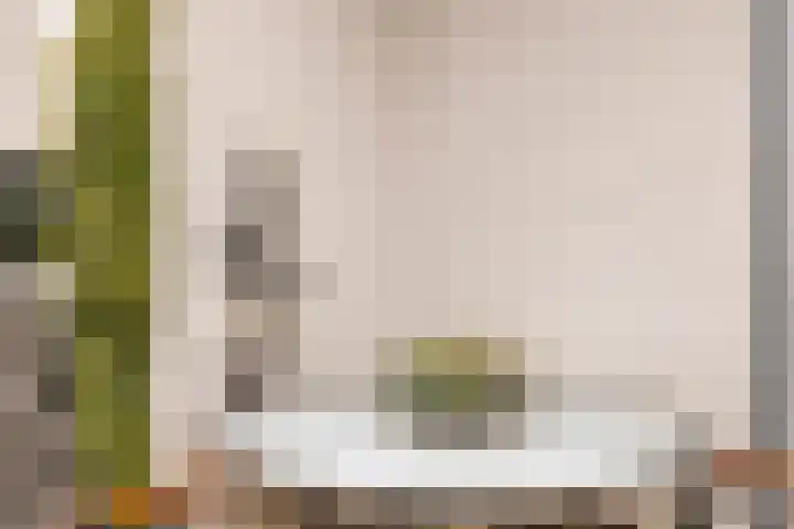 Hoeksedijk 9 Maasdam thumbnail 41
