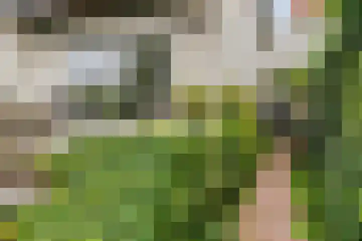 Hoeksedijk 9 Maasdam thumbnail 42
