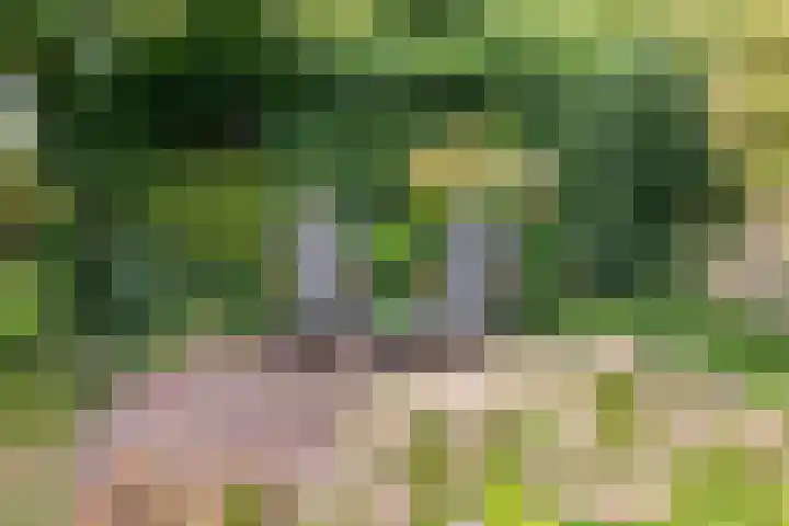 Hoeksedijk 9 Maasdam thumbnail 44