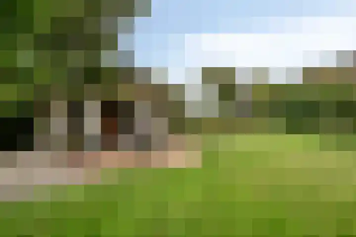 Hoeksedijk 9 Maasdam thumbnail 45
