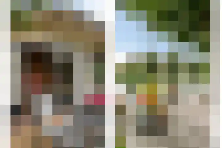 Hoeksedijk 9 Maasdam thumbnail 46