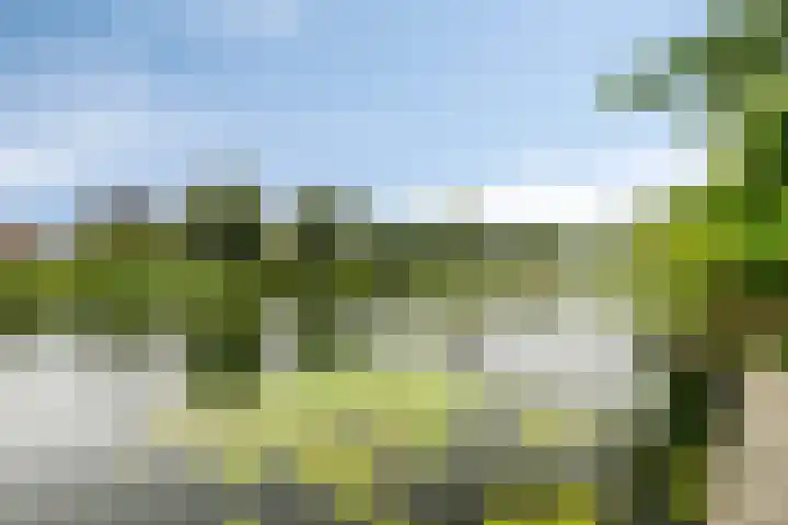 Hoeksedijk 9 Maasdam thumbnail 47