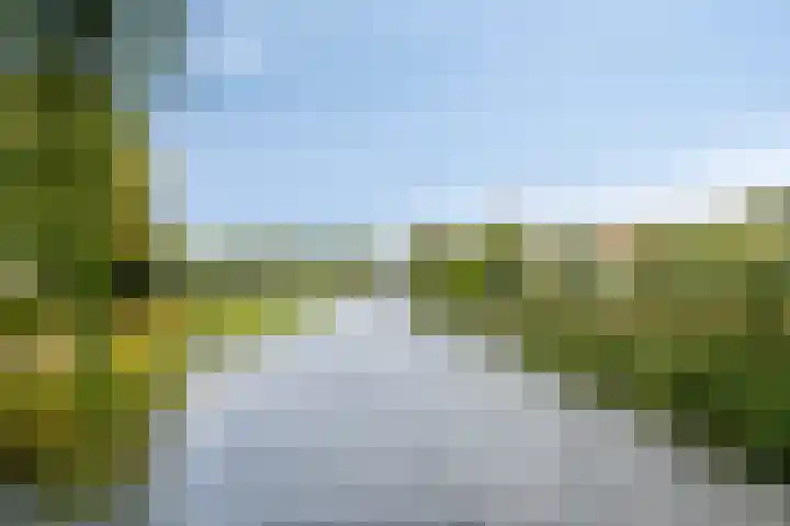 Hoeksedijk 9 Maasdam thumbnail 48