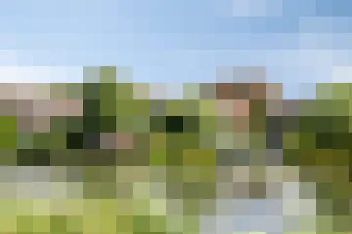 Hoeksedijk 9 Maasdam thumbnail 49