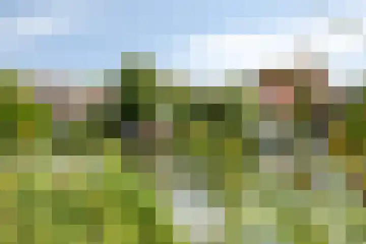 Hoeksedijk 9 Maasdam thumbnail 5