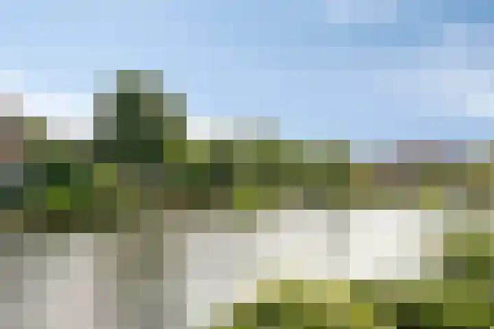 Hoeksedijk 9 Maasdam thumbnail 50