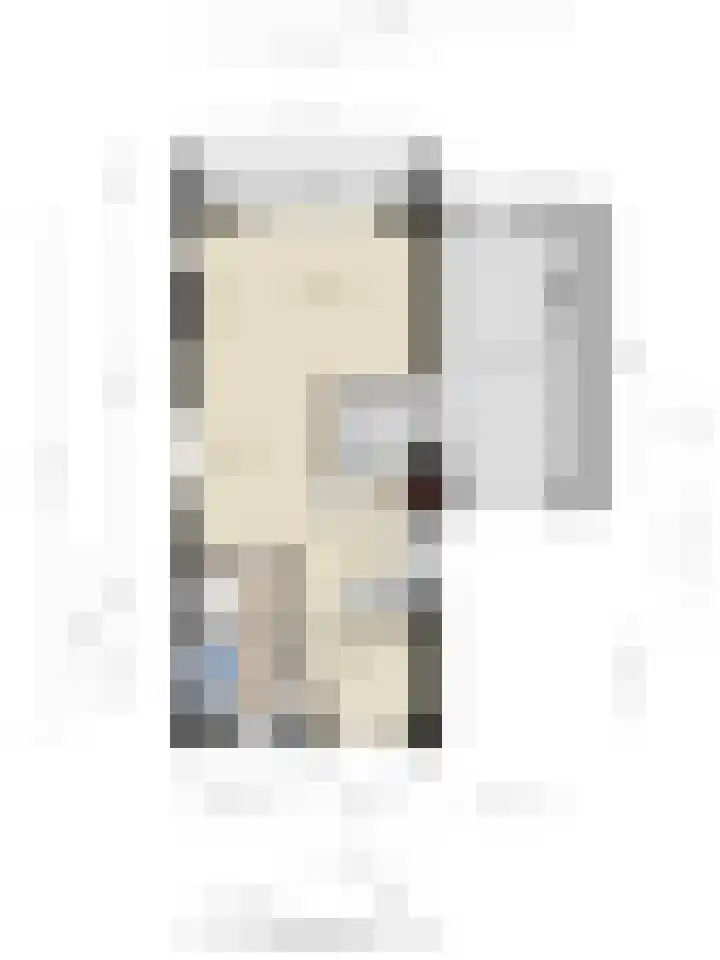 Hoeksedijk 9 Maasdam thumbnail 51