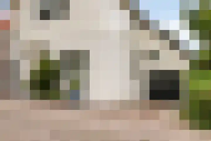 Hoeksedijk 9 Maasdam thumbnail 7