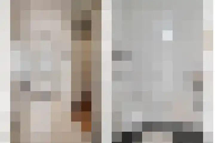 Hoeksedijk 9 Maasdam thumbnail 8