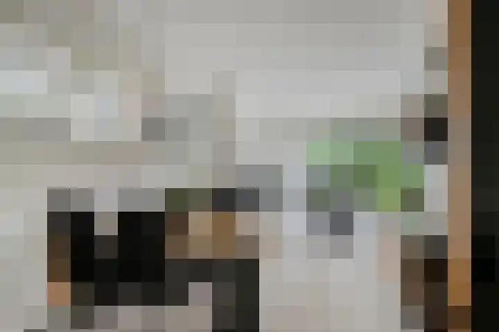 Hoeksedijk 9 Maasdam thumbnail 9