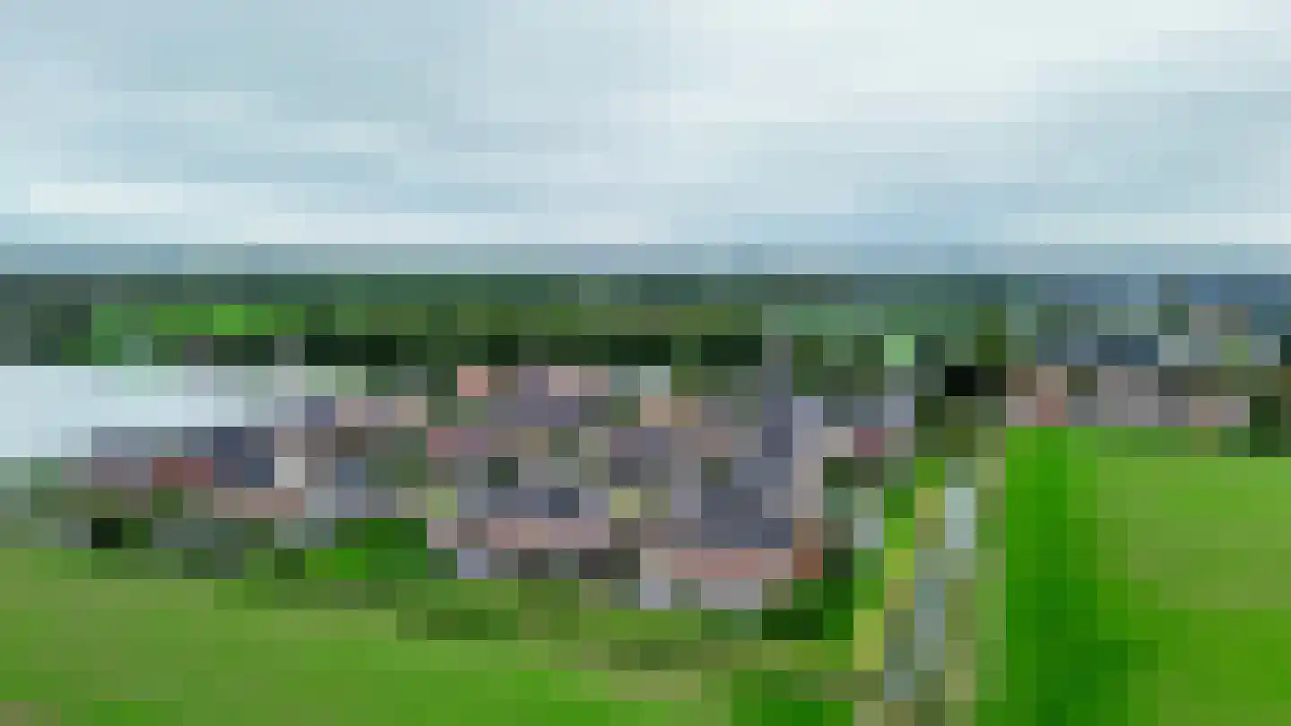 Hoeksehof 52 Bergschenhoek thumbnail 16