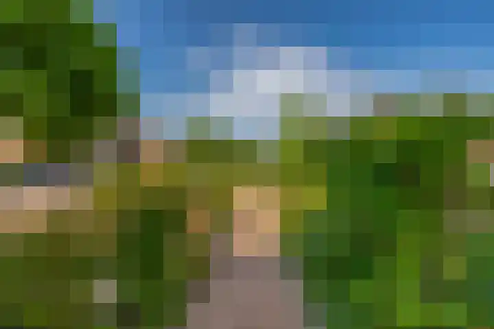 Hoeksehof 58 Bergschenhoek thumbnail 13