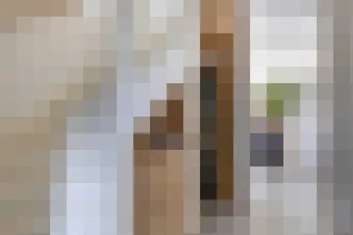 Hoeksehof 58 Bergschenhoek thumbnail 16
