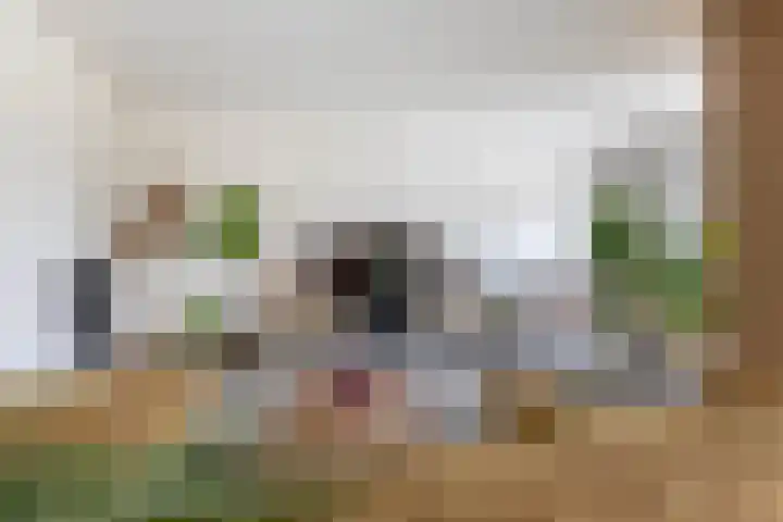 Hoeksehof 58 Bergschenhoek thumbnail 19
