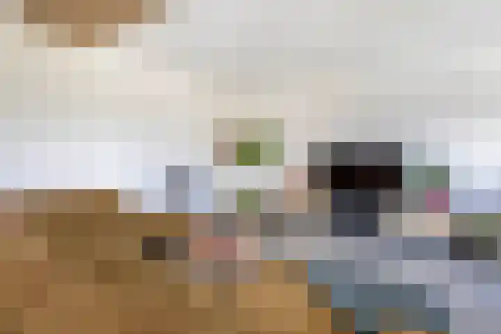 Hoeksehof 58 Bergschenhoek thumbnail 20