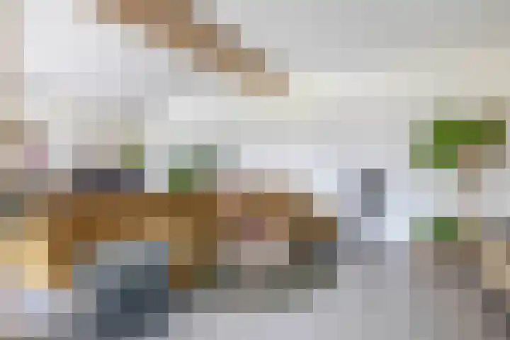 Hoeksehof 58 Bergschenhoek thumbnail 21