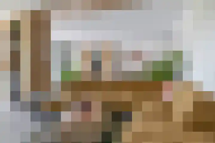 Hoeksehof 58 Bergschenhoek thumbnail 23