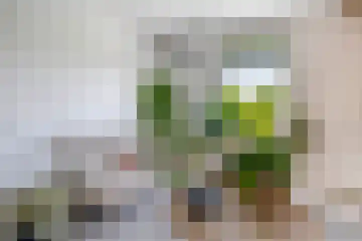 Hoeksehof 58 Bergschenhoek thumbnail 24