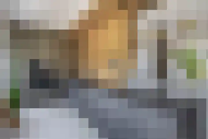 Hoeksehof 58 Bergschenhoek thumbnail 4