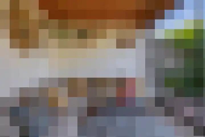 Hoeksehof 58 Bergschenhoek thumbnail 44