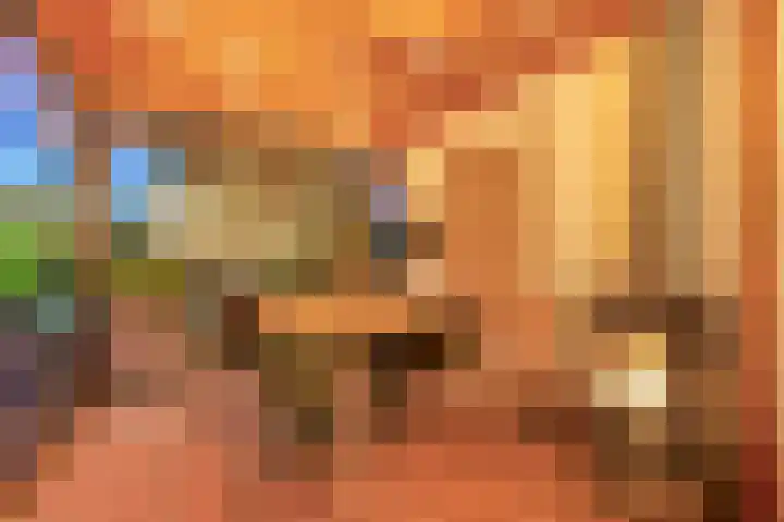 Hoeksehof 58 Bergschenhoek thumbnail 45