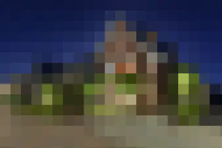 Hoeksehof 58 Bergschenhoek thumbnail 5