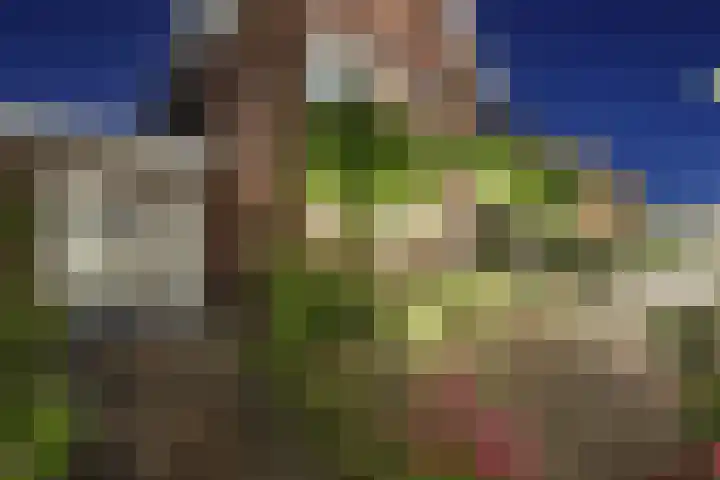 Hoeksehof 58 Bergschenhoek thumbnail 6