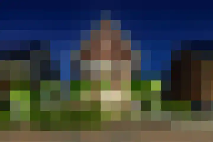 Hoeksehof 58 Bergschenhoek thumbnail 65