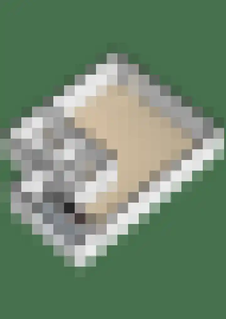 Hoeksehof 58 Bergschenhoek thumbnail 68