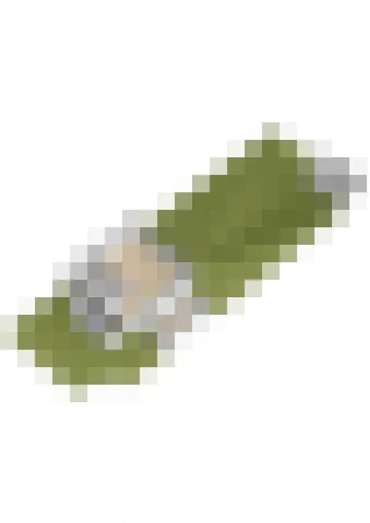 Hoeksehof 58 Bergschenhoek thumbnail 77