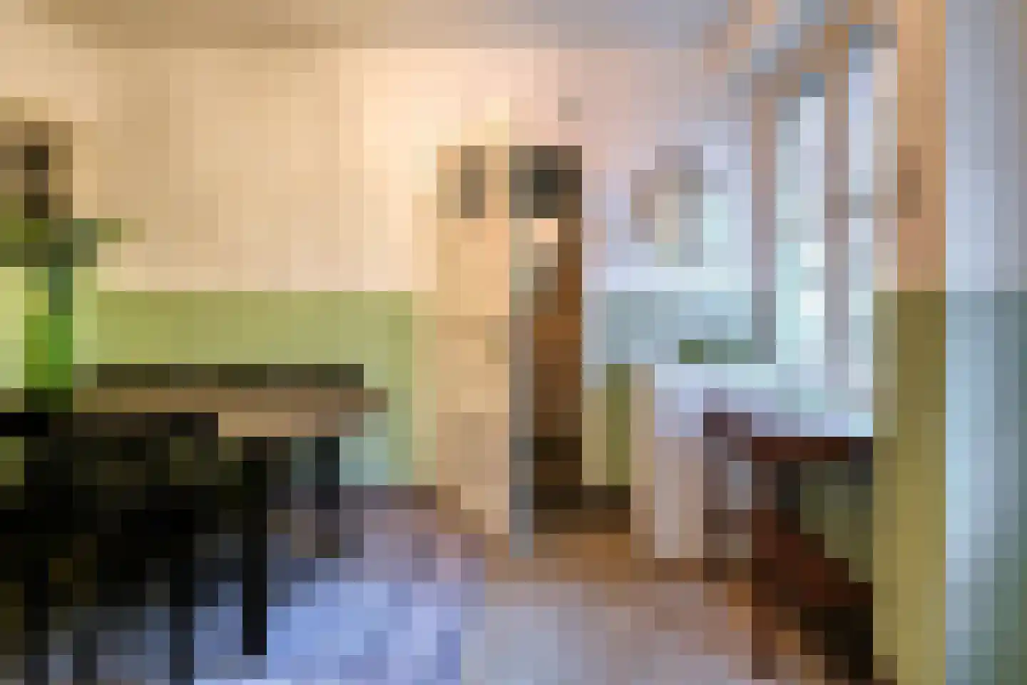 Hoeksehofstraat 6 Ressen thumbnail 26