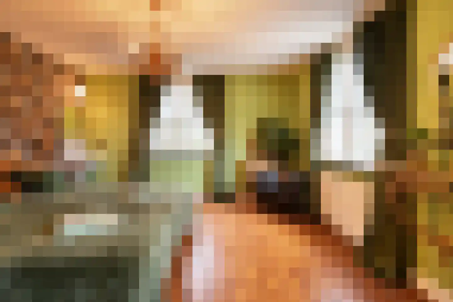 Hoeksehofstraat 6 Ressen thumbnail 33